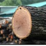 hardwood-lumber.jpg
